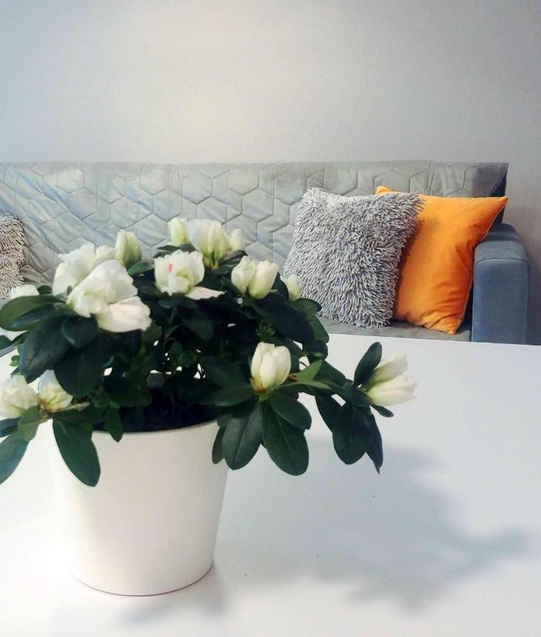 Bel Mare Wyspa, Apartament Z Parkingiem Gratis Miedzyzdroje Extérieur photo